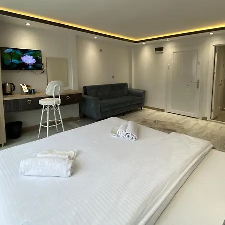 Blue Mansion & Flats *