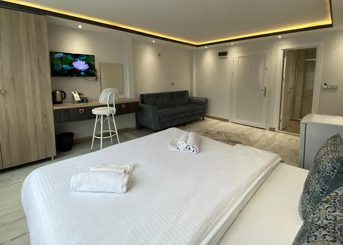 Blue Mansion Hotel&flats *