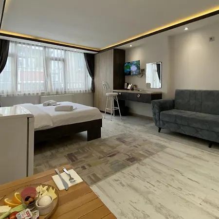 Blue Mansion & Flats